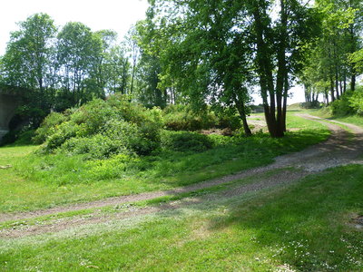 P1000082.JPG