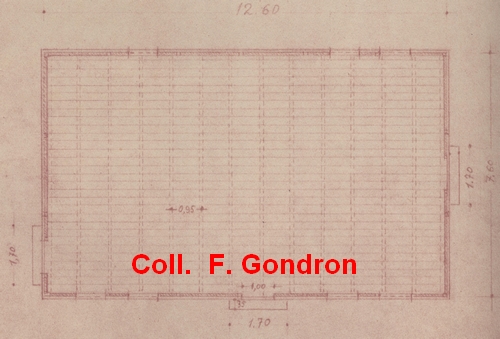 scan_4.jpg