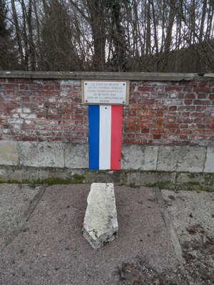 SDC10498.JPG