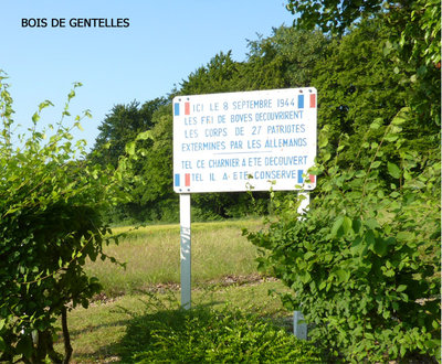Bois de Gentelles 2.jpg