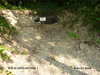 Bois de GentellesFosse1.jpg