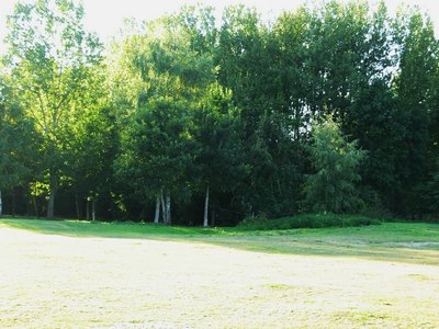 lieu presume crash b26.JPG