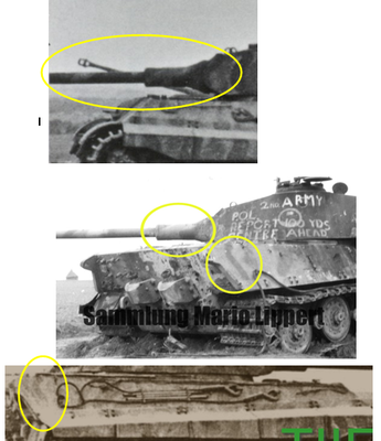 TigerII 324.png