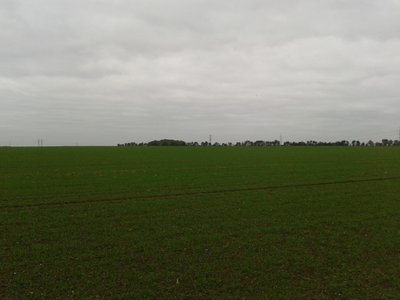 20141023_121618.jpg