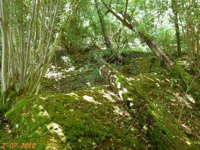 tilloy Z c site.jpg