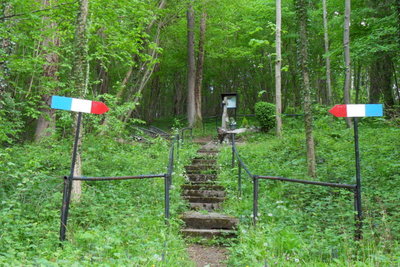 SDC10304.JPG