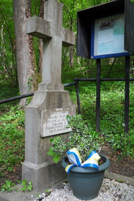 SDC10312.JPG