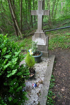 SDC10313.JPG