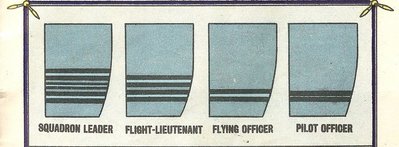 raf 2.jpg