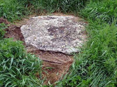 emp E cuve a.jpg