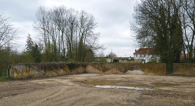 tille a gauche b.JPG