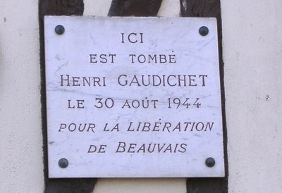 gaudichet .JPG
