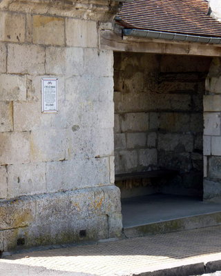 tracy-mont 6.jpg