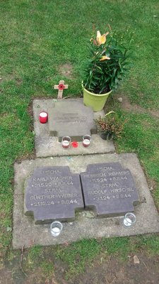 20160604_100235.jpg