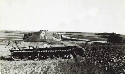 tiger aux marais A.jpg