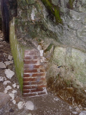 mar 4 site.jpg