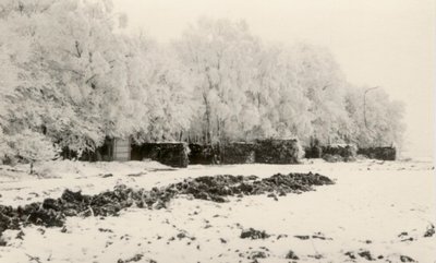 14 piste enneigée.jpg