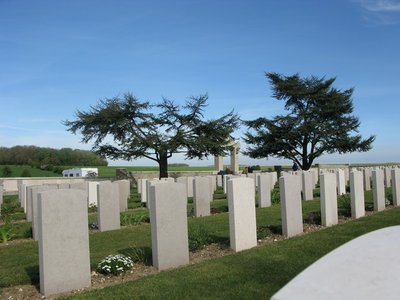 IMG_7800.jpg