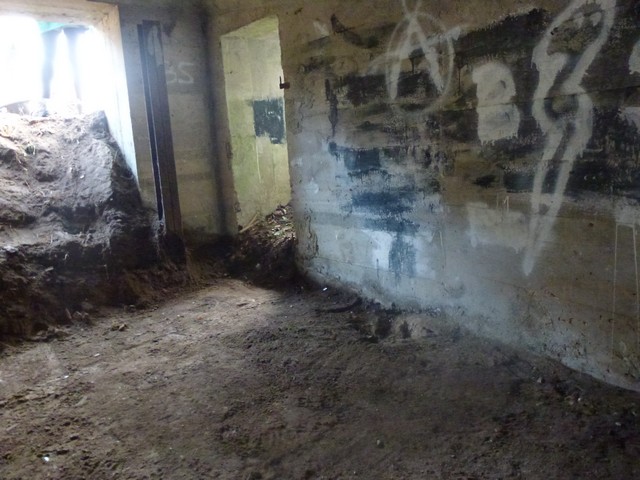 P1000539.jpg