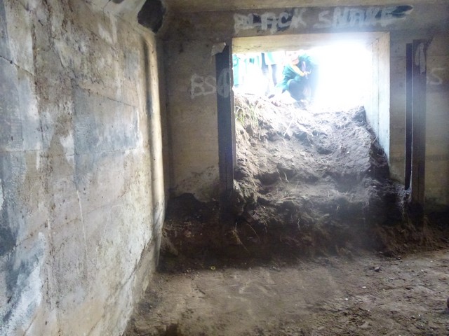 P1000541.jpg