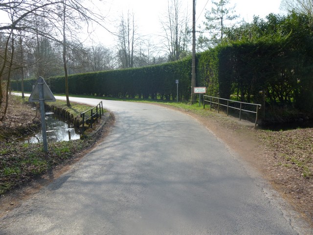 P1000498.jpg