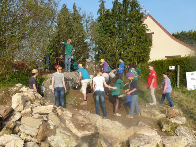 P1000515.jpg