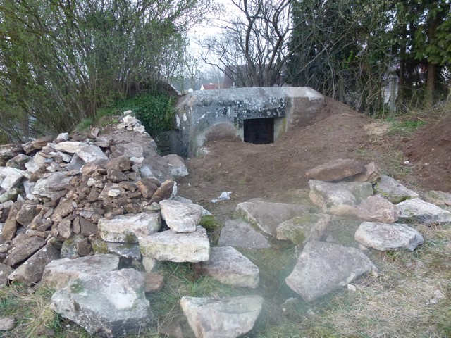 P1000546.jpg
