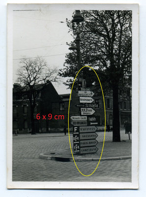 pancarte arbre.jpg