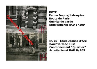 ROYE RAD 8_209.jpg