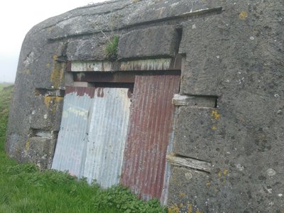 117.jpg