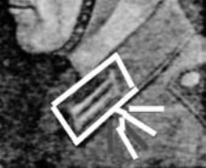 pattes de col.jpg