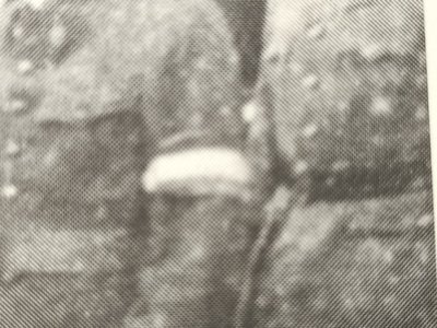 IMG20201216213554.jpg