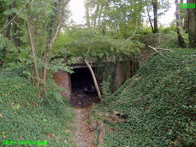 2010 st9 site.jpg