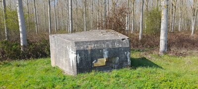 20230408_161511.jpg