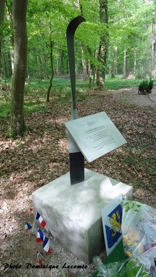 Cahon-Gouy 12 mai 2012 026.jpg