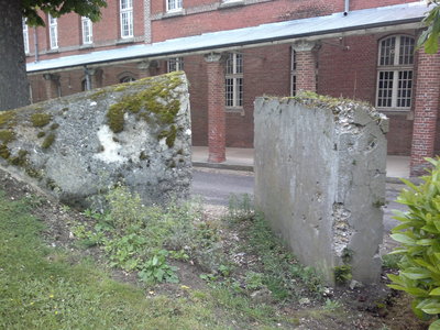 215.jpg