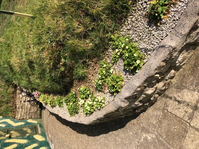 IMG_8042.jpg