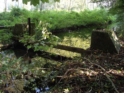 IMGP5226.JPG
