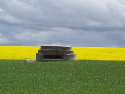 IMGP6388.JPG