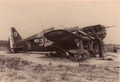 MS406 en démontage.JPG