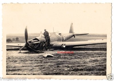fairey.jpg