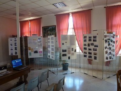 P1030870.jpg