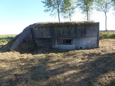 P1030951.jpg